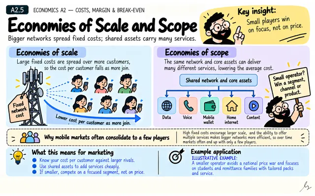 Economies of Scale and Scope: illustrated teaching guide