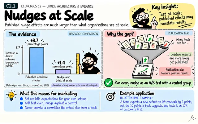 Nudges at Scale: illustrated teaching guide