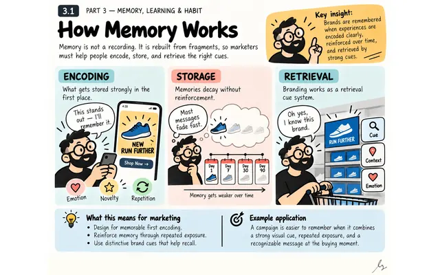 How Memory Works: illustrated teaching guide